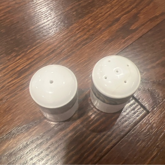 Concorde Jet Logo Royal Doulton Tableware LimitedSalt  and Pepper Shakers pots - Picture 2 of 4